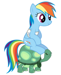 Size: 3000x3700 | Tagged: safe, artist:smlahyee, rainbow dash, tank, pegasus, pony, tortoise, g4, may the best pet win, duo, looking up, pet, simple background, sitting, transparent background, vector