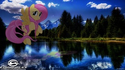 Size: 1600x900 | Tagged: dead source, safe, artist:chevrolet-evilimpala, fluttershy, pony, g4, lake, ponies in real life, reflection, wallpaper