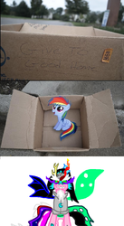 Size: 800x1458 | Tagged: safe, rainbow dash, oc, pegasus, pony, fanfic:my little dashie, g4, dashie meme, evil people finding dash meme, exploitable meme, filly, tiara ultima