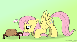 Size: 1600x877 | Tagged: safe, artist:sandwich-anomaly, fluttershy, headcrab, pegasus, pony, g4, crossover, half-life, this will end in tears