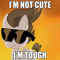 Size: 900x900 | Tagged: safe, artist:cosmonaut, rumble, pegasus, g4, caption, colt, explosion, foal, hilarious in hindsight, i'm not cute, image macro, male, sunglasses