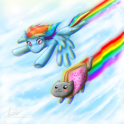 Size: 800x800 | Tagged: safe, artist:amirah-the-cat, rainbow dash, cat, g4, crossover, flying, nyan cat