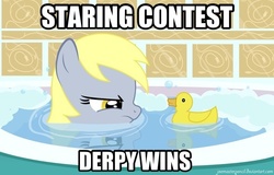 Size: 720x460 | Tagged: safe, artist:joemasterpencil, derpy hooves, pony, g4, bath, contest, female, rubber duck, solo, text