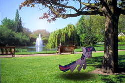 Size: 800x533 | Tagged: safe, artist:ryanboy17, twilight sparkle, human, g4, bench, fountain, irl, irl human, lake, park, photo, ponies in real life, tree