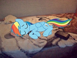 Size: 3056x2292 | Tagged: safe, artist:rainbowkadash, rainbow dash, g4, bed, ponies in real life, sleeping