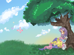 Size: 4000x3000 | Tagged: safe, artist:darckponey, fluttershy, g4, crossover, fire emblem, florina (fire emblem)