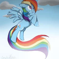 Size: 1000x1000 | Tagged: safe, artist:corey-chaos, rainbow dash, g4, flying, looking up, solo, spread wings, wings