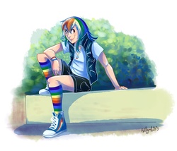Size: 800x686 | Tagged: safe, artist:yulyeen, rainbow dash, equestria girls, g4, clothes, converse, cutie mark accessory, cutie mark necklace, female, humanized, jewelry, necklace, rainbow socks, shorts, sneakers, socks, solo, striped socks, t-shirt, tomboy, trainers, waistcoat