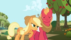 Size: 1920x1080 | Tagged: safe, screencap, applejack, big macintosh, earth pony, pony, applebuck season, g4, lidded eyes, male, out of context, stallion