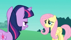 Size: 1920x1080 | Tagged: safe, screencap, fluttershy, twilight sparkle, g4, the best night ever, lidded eyes, out of context