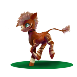 Size: 4000x4000 | Tagged: safe, artist:owlvortex, oc, oc only, okapi, solo