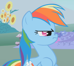 Size: 787x703 | Tagged: safe, screencap, rainbow dash, pegasus, pony, dragonshy, g4, angry, cropped, female, mare, solo