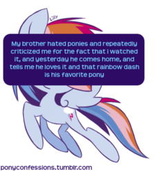 Size: 500x546 | Tagged: safe, artist:lillynya, edit, rainbow dash, pegasus, pony, g4, brony, hater, meta, pony confession, simple background, solo, text, transparent background