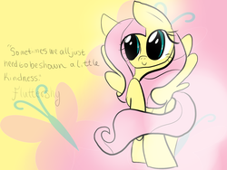 Size: 1600x1200 | Tagged: safe, fluttershy, pony, g4, female, solo, wallpaper