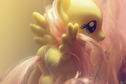 Size: 500x333 | Tagged: safe, fluttershy, g4, brushable, butt, female, figurine, irl, photo, plot, toy