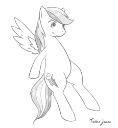 Size: 830x900 | Tagged: safe, artist:japananon, rainbow dash, pegasus, pony, g4, monochrome, pixiv, solo