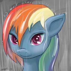 Size: 1200x1200 | Tagged: safe, artist:vanefox, rainbow dash, g4, bust, colored pupils, portrait, rain, smiling, solo, wet, wet mane