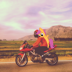 Size: 1440x1440 | Tagged: safe, edit, scootaloo, human, g4, cosplay, irl, irl human, motorcycle, photo, photoshop, ponies in real life