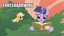 Size: 960x540 | Tagged: safe, edit, edited screencap, screencap, applejack, twilight sparkle, g4, look before you sleep, bbbff, bff, book, duo, foreshadowing, golden oaks library, hair, hatless, image macro, implied shining armor, missing accessory, rain, reading, slumber 101, tree