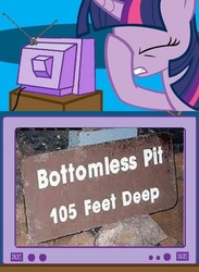 Size: 365x500 | Tagged: safe, twilight sparkle, g4, bottomless pit, exploitable meme, facehoof, fail, hole, meme, seems legit, sign, tv meme