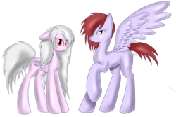 Size: 3000x2000 | Tagged: safe, pegasus, pony, duo, simple background, transparent background
