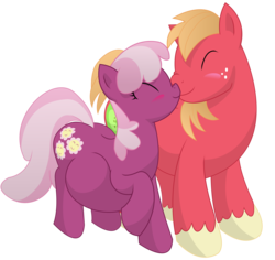 Size: 11100x10500 | Tagged: safe, artist:xniclord789x, big macintosh, cheerilee, earth pony, pony, g4, absurd resolution, blushing, boop, cheeribetes, cute, macabetes, male, pregnant, pregnant cheerilee, scrunchy face, ship:cheerimac, shipping, simple background, stallion, straight, transparent background