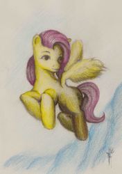 Size: 4814x6853 | Tagged: safe, artist:paradoxialevent, fluttershy, g4, absurd resolution, dream, fanart