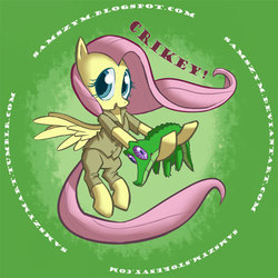 Size: 600x600 | Tagged: safe, artist:samszym, fluttershy, gummy, alligator, pegasus, pony, g4, clothes, crikey, female, flying, hoof hold, male, mare, pants, shirt, shorts, smiling, steve irwin