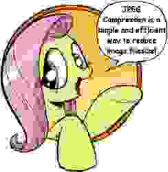 Size: 421x431 | Tagged: safe, artist:andy price, idw, fluttershy, pegasus, pony, friendship is magic #3, g4, my little pony: friendship is magic (idw), bad advice fluttershy, blatant lies, comic sans, dialogue, exploitable meme, female, humor, irony, mare, meme, needs more jpeg, open mouth, raised hoof