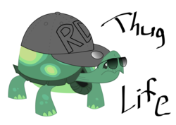 Size: 1053x745 | Tagged: safe, artist:hognip, tank, tortoise, g4, cap, hat, male, simple background, solo, sunglasses, thug life, vector, white background