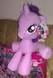 Size: 291x425 | Tagged: safe, twilight sparkle, pony, g4, official, hasbro, irl, photo, plushie, solo