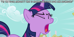 Size: 1097x552 | Tagged: safe, twilight sparkle, g4, /mlp/, image macro