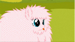 Size: 428x240 | Tagged: safe, artist:mixermike622, discord, fluttershy, nightmare moon, tom, oc, oc:fluffle puff, tumblr:ask fluffle puff, g4, animated, ask, fluffy, hypnosis, injured, nightmare puff, nightmarified, pink, wat