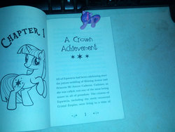 Size: 1200x900 | Tagged: safe, twilight sparkle, unicorn, g4, my little pony chapter books, twilight sparkle and the crystal heart spell, spoiler:book, blind bag, irl, photo, toy, twiface