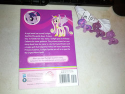 Size: 1200x900 | Tagged: safe, princess cadance, twilight sparkle, g4, my little pony chapter books, my little pony: twilight sparkle and the crystal heart spell, /mlp/, blind bag, irl, photo, toy