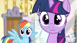 Size: 711x400 | Tagged: safe, screencap, rainbow dash, twilight sparkle, g4, ponyville confidential, animated, come hither, duo, female