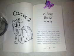 Size: 1200x900 | Tagged: safe, twilight sparkle, g4, my little pony chapter books, twilight sparkle and the crystal heart spell, spoiler:book, blind bag, irl, photo, toy
