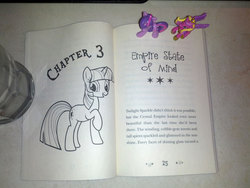 Size: 1200x900 | Tagged: safe, princess cadance, twilight sparkle, g4, my little pony chapter books, twilight sparkle and the crystal heart spell, spoiler:book, blind bag, irl, photo, toy