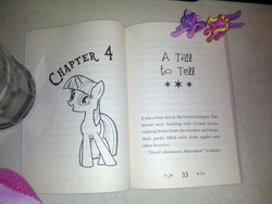 Size: 1200x900 | Tagged: safe, princess cadance, twilight sparkle, g4, my little pony chapter books, twilight sparkle and the crystal heart spell, spoiler:book, blind bag, irl, photo, toy