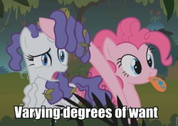 Size: 960x684 | Tagged: safe, edit, edited screencap, screencap, pinkie pie, rarity, bridle gossip, g4, hairity, image macro, spitty pie, varying degrees of want, want