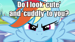 Size: 947x539 | Tagged: safe, rainbow dash, g4, angry, cuddly, cute, image macro