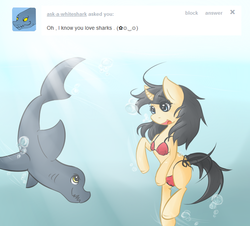 Size: 663x600 | Tagged: safe, artist:larkdraws, oc, oc only, oc:blossomfall, shark, askblossomfall, bikini, clothes, swimsuit, underwater