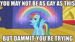 Size: 469x265 | Tagged: safe, rainbow dash, g4, image macro, rainbow, reaction image