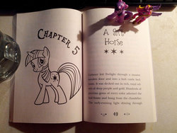 Size: 1200x900 | Tagged: safe, princess cadance, twilight sparkle, g4, my little pony chapter books, my little pony: twilight sparkle and the crystal heart spell, spoiler:book, blind bag, irl, photo, text, toy