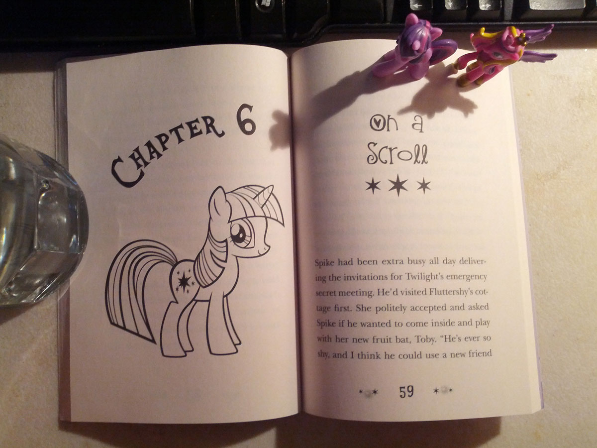 My Little Pony: Twilight Sparkle and the Crystal Heart Spell (My Little  Pony Chapter Books)