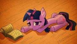 Size: 1003x575 | Tagged: safe, artist:draneas, twilight sparkle, g4, annoyed, book, prone, reading