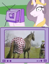 Size: 578x750 | Tagged: safe, princess celestia, horse, princess molestia, g4, exploitable meme, meme, monty python, monty python's flying circus, tv meme