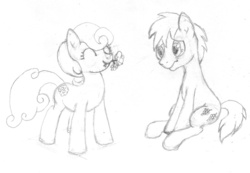 Size: 800x553 | Tagged: safe, artist:blazang, daisy, flower wishes, goldengrape, sir colton vines iii, earth pony, pony, g4, daisygrape, female, male, mare, shipping, stallion, straight, traditional art