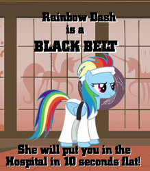 Size: 629x718 | Tagged: safe, artist:boss-hoss1, rainbow dash, g4, image macro, reaction image