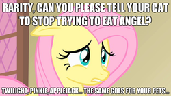 Size: 625x351 | Tagged: safe, edit, edited screencap, screencap, fluttershy, pegasus, pony, a bird in the hoof, g4, cropped, ears back, female, floppy ears, frown, image macro, implied angel bunny, implied applejack, implied pinkie pie, implied rarity, implied twilight sparkle, mare, pink hair, pink mane, solo, teal eyes, text, wings, worried, yellow coat, yellow fur, yellow pony, yellow wings